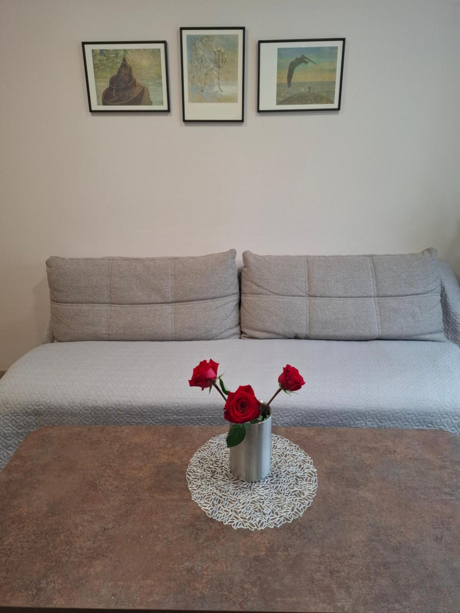 Apartamentai Auris Druskininkai Bagian luar foto